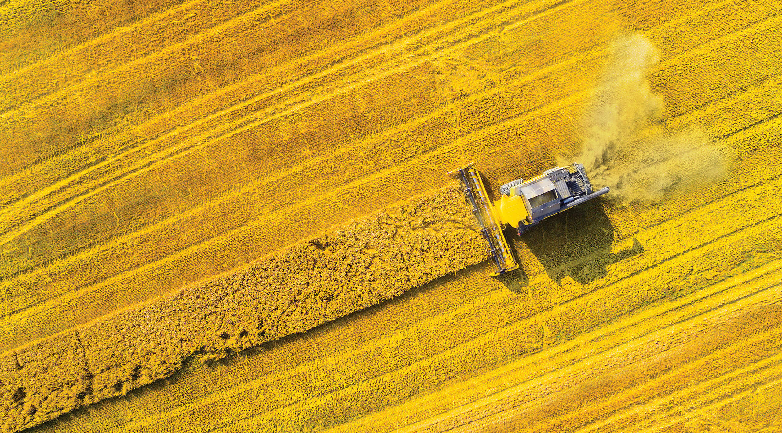 Prax_Industrial_Head